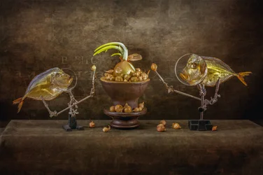 Peces y cebollas caprichosos