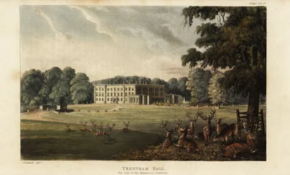Manada de ciervos frente a Trentham Hall