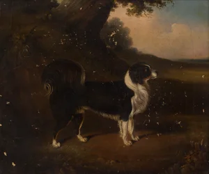 Retrato de un perro (óleo sobre lienzo)