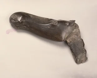 Cabeza de un alce hembra, de Ekaterimburgo en los Urales