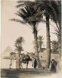 Palmeral al pie de las pirámides de Egipto - fotografía de los Hermanos Zangali, finales del siglo XIX
