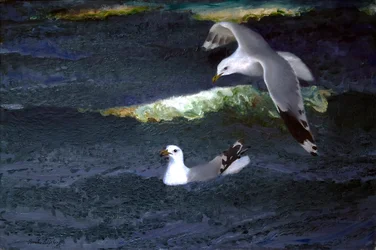 Gaviotas