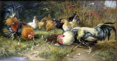 Aves de corral en un paisaje