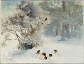 Alimentando a los pájaros en la nieve
