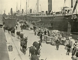 Buques de tropas en Port Tampa, Florida, EE.UU., Guerra Hispanoamericana, 10 de junio de 1898, 1899