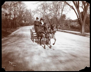 Anna Held y Florenz Ziegfeld conduciendo un carruaje tirado por caballos, Nueva York, 1904