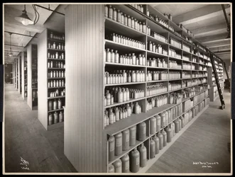Vista interior de una sala de almacenamiento químico en Parke, Davis y Co., químicos, Hudson y Vestry Streets, Nueva York, 1910