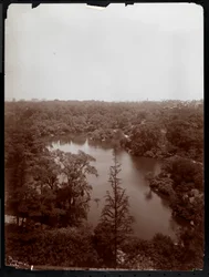 Vista de Central Park desde el cuarto piso del Plaza Hotel, 5th Avenue y 59th Street, 1907
