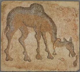 Fragmento de mosaico con camello pastando