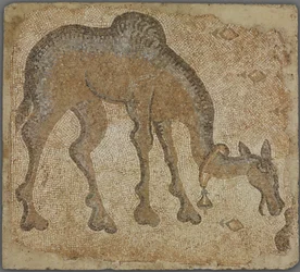 Fragmento de Mosaico con Camello Pastando