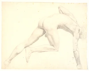 Modelo masculino desnudo inclinado hacia adelante