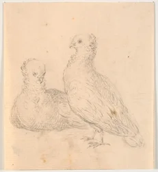 Dos palomas