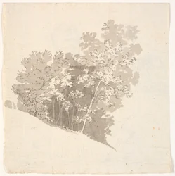 Grupo de árboles