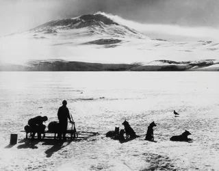 Expedición al Polo Sur por Robert Falcon Scott (1868-1912), exploradores ante el volcán Erebus en la isla Ross, 15 de enero