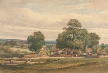 Emerey Down cerca de Lyndhurst, New Forest, Hants