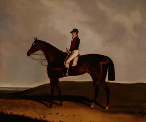 Un caballo de carreras bayo