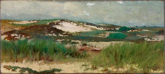 Duna de arena de Nantucket