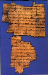 Calímaco, Coma Berenices, papiro