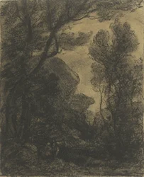 Escena de bosque de noche