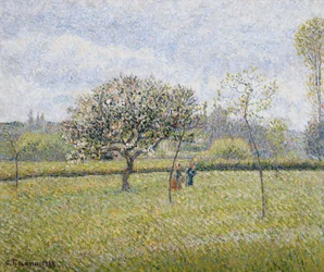 Manzano en flor en Eragny, 1888