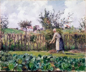 En el jardín