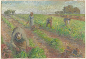 La cosecha de remolacha, 1881
