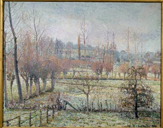 Escarcha blanca, mañana o efecto de nieve en Eragny