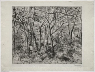 Paisaje boscoso en L