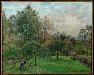 Manzanos y álamos en un atardecer