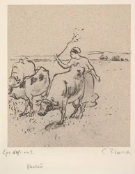 Vaquero, ca. 1899