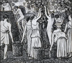 Vendimia, estudio compositivo para una ilustración de 