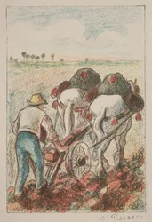 El arado