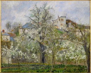 Primavera, flores de peral (óleo sobre lienzo)