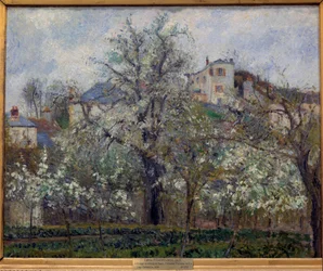 Huerto y árboles en flor en primavera en Pontoise (ciruelos en flor) Pintura de Camille Pissarro (1830-1903). 1877. Dim. 0.65 x 0.81 m. París, Museo de Orsay