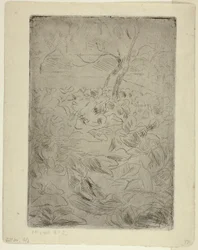 Mujer en el jardín de la cocina