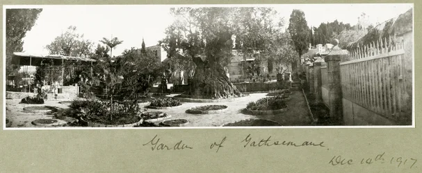 Jardín de Getsemaní, 14 de diciembre de 1917