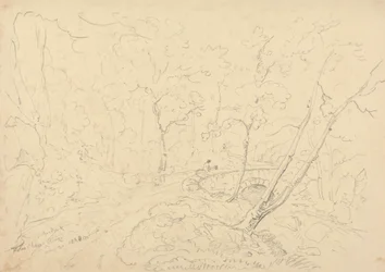 Puente y río Holne Chase, 30 de mayo de 1833