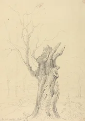 En Lord Yarborough