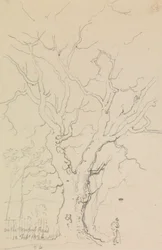 En la carretera de Newport, 12 de febrero de 1826
