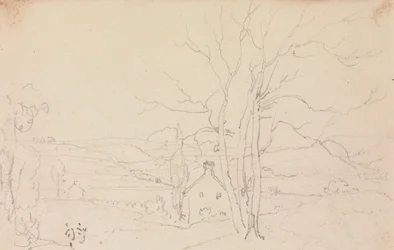 Bosquejo de un gran árbol y una cabaña