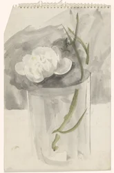 Flor blanca en un vaso