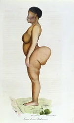 La Venus hotentote, mujer bosquimana, de «Historia natural de los mamíferos» de Étienne Geoffroy Saint-Hilaire (1772-1844) y Frédéric Cuvier (1773-1838), 1824