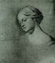 Estudio de cabeza femenina