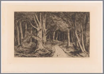 Bosrand met bospad
Entrada al bosque (título original)
