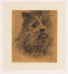 Estudio de retrato del perro Jimmy