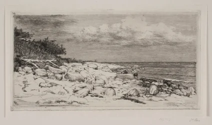 Costa rocosa