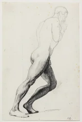 Estudio de la pierna de Sansón para la pintura del museo "Sansón entre los filisteos" (kms830)