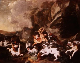 Pelea de perros
