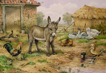 Burro y aves de corral