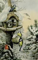 Mesa de aves invernal con herrerillos, carboneros, gorriones y un petirrojo
